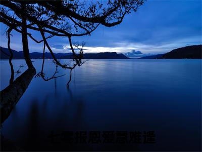 沈临光邱善滢（七零报恩爱意难逢）全本完整版免费阅读_（沈临光邱善滢）七零报恩爱意难逢全文章节目录_笔趣阁