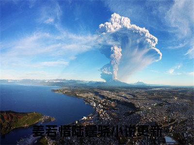 （重生七零：军嫂她美又飒）重生七零：军嫂她美又飒小说(姜若惜陆霆骁)小说全集速览无广告高口碑小说