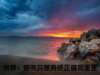 司里里快穿：炮灰只想寿终正寝小说章节目录+章节前文（快穿：炮灰只想寿终正寝）TXT清爽版在线