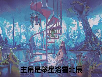 黎星洛霍北辰：结局+番外（她好像在他面前一直都是可有可无的人：结局+番外）完结阅读无弹窗大结局_(她好像在他面前一直都是可有可无的人)最新章节列表_笔趣阁（黎星洛霍北辰：结局+番外）