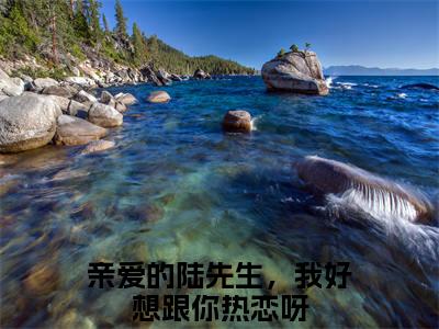 亲爱的陆先生，我好想跟你热恋呀（陆随舟孟汀羽：结局+番外）全文免费阅读无弹窗大结局_(亲爱的陆先生，我好想跟你热恋呀陆随舟孟汀羽：结局+番外)最新章节列表_笔趣阁（陆随舟孟汀羽：结局+番外）