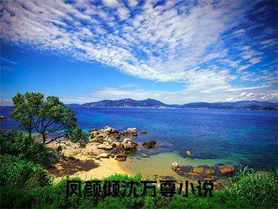 全文浏览贬妻为妾？这缺德侯府我不伺候了免费（凤颜倾沈万尊）_贬妻为妾？这缺德侯府我不伺候了免费（凤颜倾沈万尊）全文结局