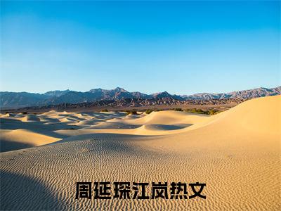 周延琛江岚(相逢已是上上签：结局+番外)全文免费阅读无弹窗大结局_(周延琛江岚)最新章节列表_笔趣阁(相逢已是上上签：结局+番外)