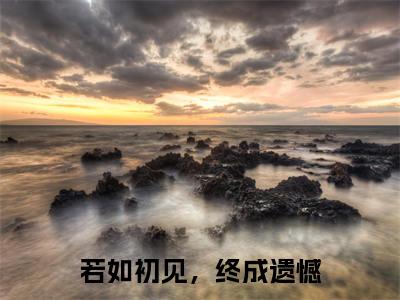 沈若初沈慕白（若如初见，终成遗憾）全文免费阅读无弹窗大结局_若如初见，终成遗憾小说最新章节列表