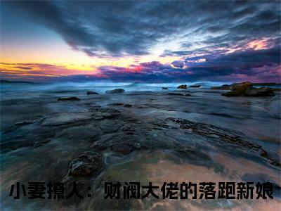 小说小妻撩人：财阀大佬的落跑新娘小说已更新+番外篇章（林灰音林司皓）纯净阅读