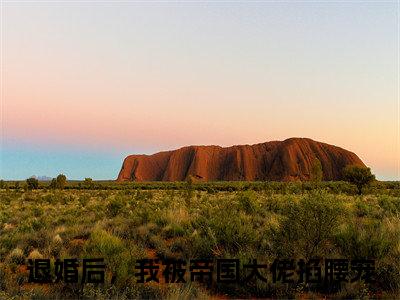 薄烬辰乔溪最新章节（退婚后，我被帝国大佬掐腰宠）全文免费阅读无弹窗大结局_退婚后，我被帝国大佬掐腰宠免费阅读