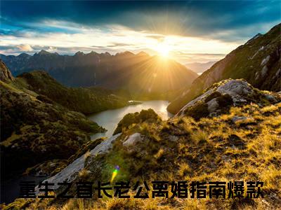 重生之首长老公离婚指南续集(祁绍巍江云岚)全本完整免费版_起点章节+后续（重生之首长老公离婚指南）
