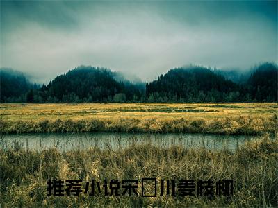 宋璟川姜枝柳小说（宋璟川姜枝柳）全文免费阅读无弹窗大结局_（宋璟川姜枝柳）宋璟川姜枝柳小说免费阅读最新章节列表