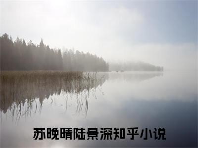 她的离开悄无声息小说(她的离开悄无声息)终章+番外（苏晚晴陆景深）一口气阅读