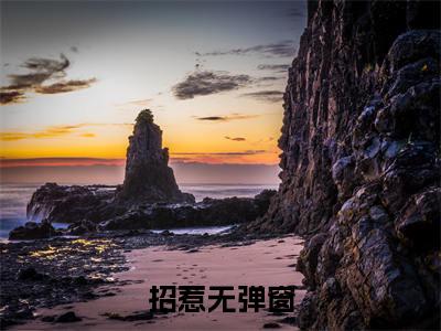 苏星冉厉景深小说热门（招惹结局+番外）txt阅读大结局-抖音近期热门招惹结局+番外全文免费