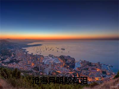 蓝月明江霖（沧海月明鲛有泪前文+后续）全文免费阅读无弹窗大结局_(蓝月明江霖沧海月明鲛有泪前文+后续)最新章节列表_笔趣阁（沧海月明鲛有泪前文+后续）