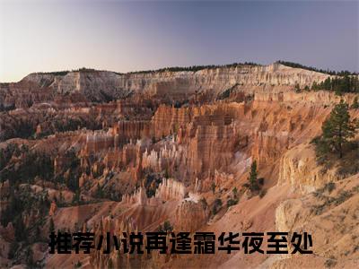 （书荒必看）再逢霜华夜至处小说TXT无套路阅读