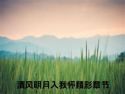 前传清风明月入我怀续集(清风明月入我怀)终章阅读极简（清风明月入我怀）