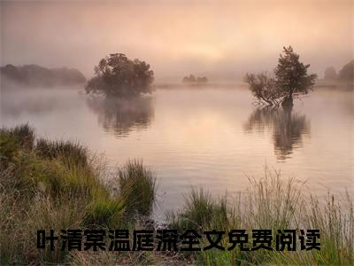 一朝春尽红颜老，花落人亡两不知（叶清棠温庭深）结局+番外抖音新书_一朝春尽红颜老，花落人亡两不知小说全文免费阅读最新章节列表（叶清棠温庭深）