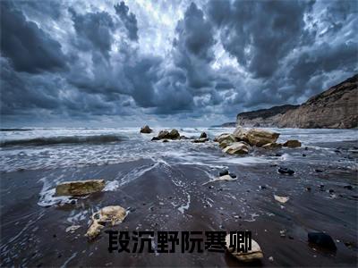 八零年代之忠于国家忠于她全文免费阅读无弹窗大结局_段沉野阮寒卿最新章节列表_笔趣阁（八零年代之忠于国家忠于她：完结+结局+番外）