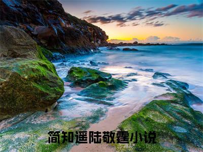简知遥陆敬霆小说(此情误我终生)全文+后续（简知遥陆敬霆）畅享阅读