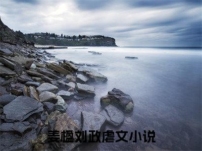 夺妻小说（姜楹刘政）TXT无套路在线+无广告结局