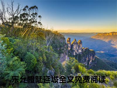 （头条）宋允橙陆延城小说(从此和她银河相望)整本免费版阅读无广告（宋允橙陆延城）