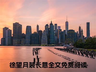 （替嫡姐与权臣洞房后）替嫡姐与权臣洞房后(徐望月裴长意)整书在线无广告高口碑小说