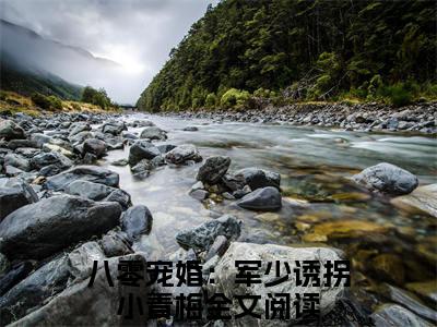 八零宠婚：军少诱拐小青梅小说(方映月江清舟)小说全集在线下载_章节前文+后续（八零宠婚：军少诱拐小青梅）