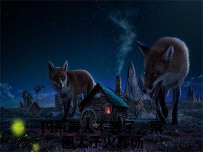 宋惜希秦泽钓系美人不装了，京圈太子火葬场终章（钓系美人不装了，京圈太子火葬场）完整章节列表_笔趣阁