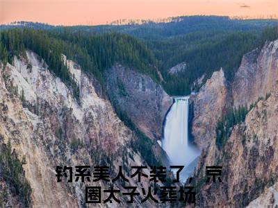 宋惜希秦泽完结篇全篇阅读无广告（钓系美人不装了，京圈太子火葬场）番外+续集