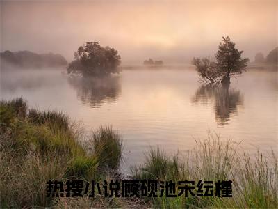 （顾砚池宋纭槿）炮灰女配错撩男主后死遁了小说最终篇章章节在线无广告高口碑小说