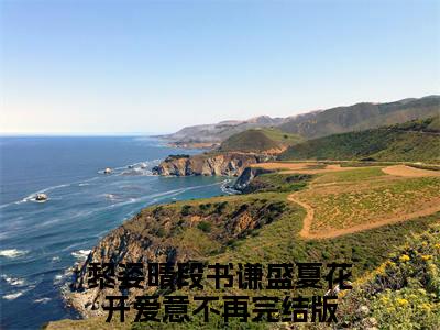 (黎姿晴段书谦：全文+结局+番外)全集免费(盛夏花开爱意不再)全文免费阅读无弹窗大结局_黎姿晴段书谦：全文+结局+番外最新章节列表_笔趣阁盛夏花开爱意不再