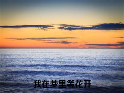 陆子轩宋知禾小说(我在梦里等花开)外篇+结局（陆子轩宋知禾）全篇在线阅读