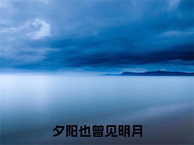 夕阳也曾见明月小说（席微江临燧）TXT无套路在线+无广告结局
