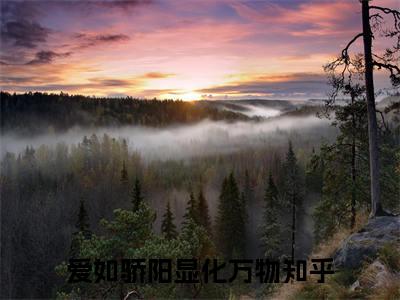 许雾林清也：爱如骄阳显化万物结局+番外精编之作完整章节列表_笔趣阁