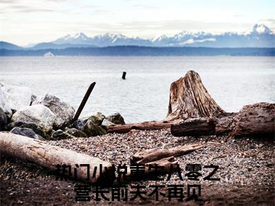 江筱萱纪岁凛(重生八零之营长前夫不再见)（江筱萱纪岁凛）前传+阅读全新作品预订