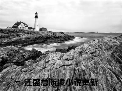 情深难赎：+后续热血十足 汪盛意阮凌：结局+番外评价五颗星