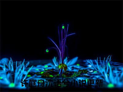 高分_许庭舟沈语兮(渐行渐远渐无书)（许庭舟沈语兮）全本完整阅读