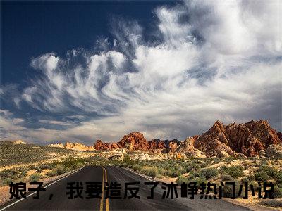 娘子，我要造反了沐峥小说全篇完整在线阅读（娘子，我要造反了沐峥）热门章节列表