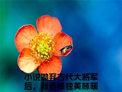 抛弃古代大将军后，我选择独美林暖暖（抛弃古代大将军后，我选择独美林暖暖）+免费下载阅读_(抛弃古代大将军后，我选择独美林暖暖免费阅读)抛弃古代大将军后，我选择独美林暖暖完结版+番外_笔趣阁（抛弃古代大将军后，我选择独美林暖暖）