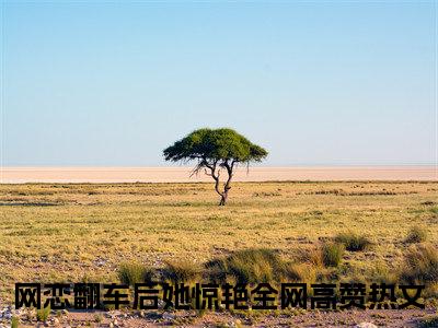 苏晚宜司年屿番外（网恋翻车后她惊艳全网）TXT+后续+结局在线阅读