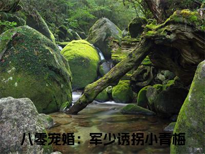 方映月江清舟：结局+番外新上热文（八零宠婚：军少诱拐小青梅）最近章节列表