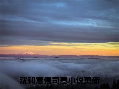 沈知意傅司寒（爱如死水缠绵绵）小说全文免费阅读无弹窗_（爱如死水缠绵绵全文阅读）沈知意傅司寒免费阅读大结局