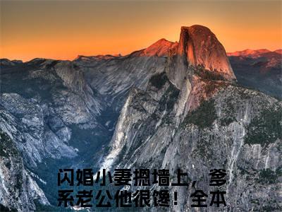 阮姜姜沈衡闪婚小妻摁墙上，爹系老公他很馋！：结局+番外免费品鉴+全书阅读（阮姜姜沈衡）最新连载