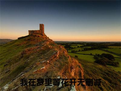 我在梦里等花开是什么小说(陆子轩宋知禾)（我在梦里等花开）全本完整清爽版在线+无广告结局