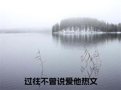 过往不曾说爱他沈靖驰傅沐微后续（沈靖驰傅沐微）全篇在线阅读前传