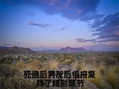 （书荒必看）宋绵周屿白小说TXT无套路阅读