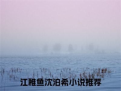 旧事如梦相思烬小说(江稚鱼沈泊希)全本完整阅读最新章节（旧事如梦相思烬）_笔趣阁