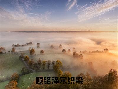 把我一个人丢在婚姻登记处后续（顾铭泽宋织染）全篇在线阅读前传