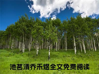 （池茗清乔禾煜）这段感情我赌一辈子：结局+番外精品选集起点章节+阅读即将发布预订