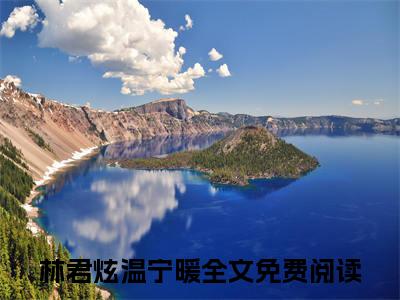 （却不想，这一切都是假象）却不想，这一切都是假象小说(林君炫温宁暖)整书在线无广告高口碑小说