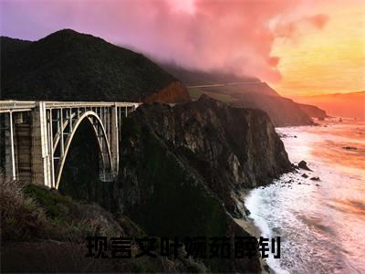 叶婉茹薛钊全本资源（叶婉茹薛钊）+后续全本完整_叶婉茹薛钊+后续+结局在线阅读（叶婉茹薛钊）