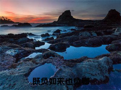 小说既负如来也负卿(既负如来也负卿)已更新+无删减（既负如来也负卿）