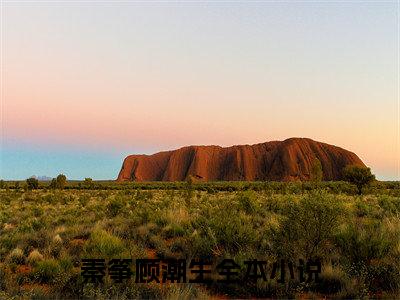 （秦筝顾潮生）秦筝顾潮生小说(秦筝顾潮生)小说全集速览无广告高口碑小说